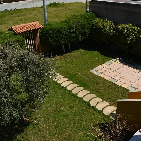 Lu Noto